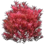 Decorative seaweed element - AI aquarium technology