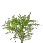 Decorative seaweed element - aquascaping design